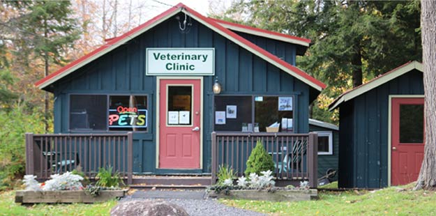 Otter Lake Clinic Countryside Veterinary Clinic Llp Lowville Ny