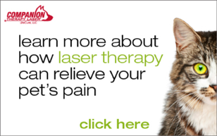 Laser Therapy Banner